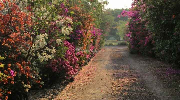 Hay salooon! 😍😍 - 4