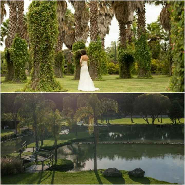 ¿Cómo fue que surgió la idea de casarnos en el bosque? - 1