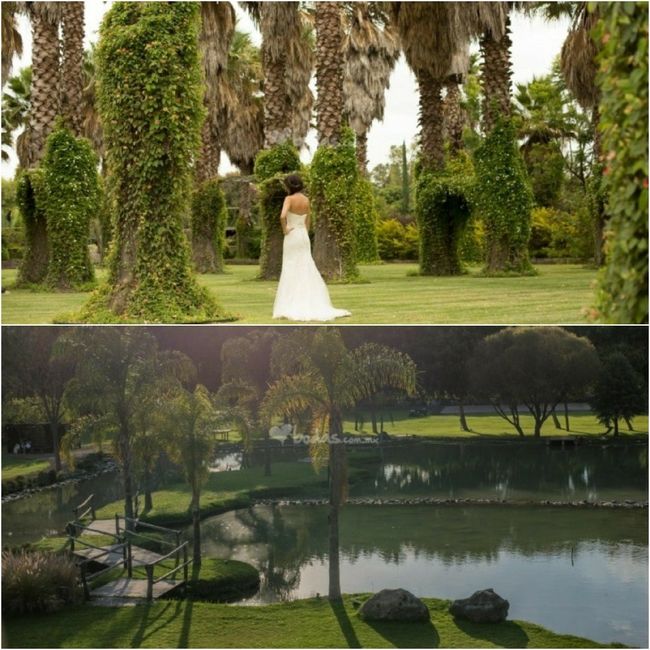 ¿Cómo fue que surgió la idea de casarnos en el bosque? - 1