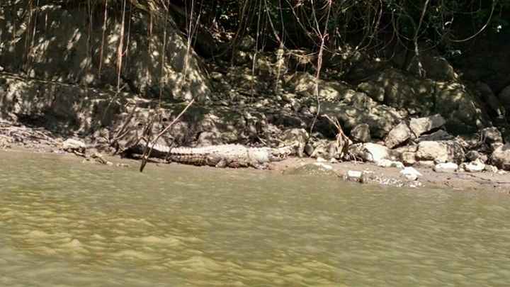 Mi luna de miel en chiapas - 9