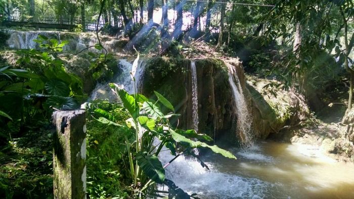 Mi luna de miel en chiapas - 14