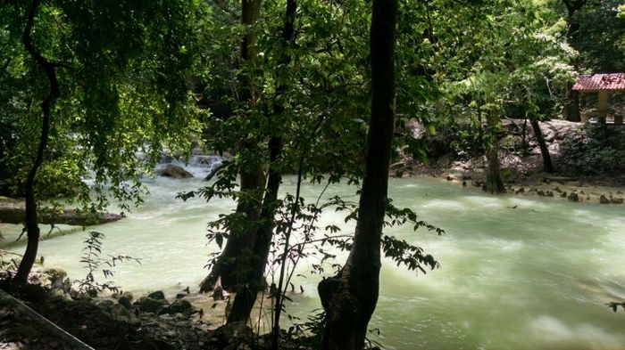 Mi luna de miel en chiapas - 23