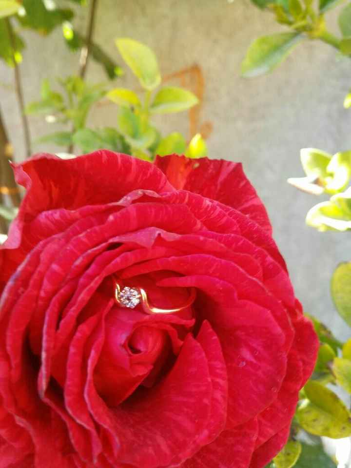 ¿cuál fue la última foto que le tomaron a su anillo? 💍 - 1
