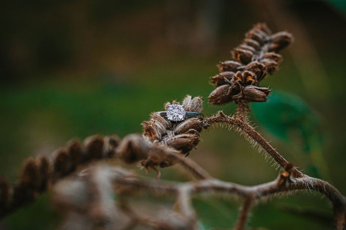 Por último... Muéstranos tu anillo 💍😍 27