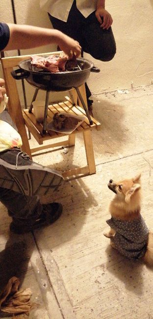 Mi contador a menos de 200 días!! 2