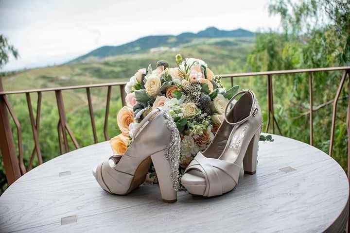 Zapatos de novia - 1