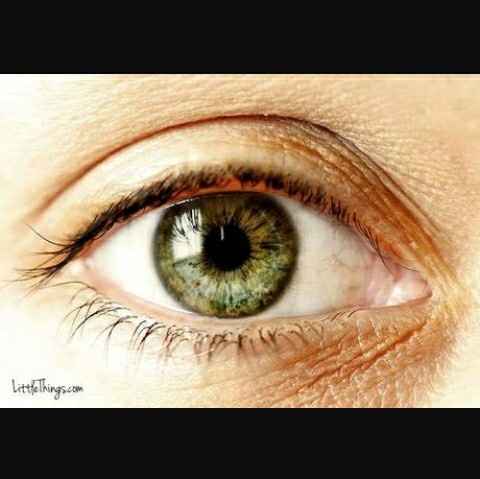 Ojos - 3