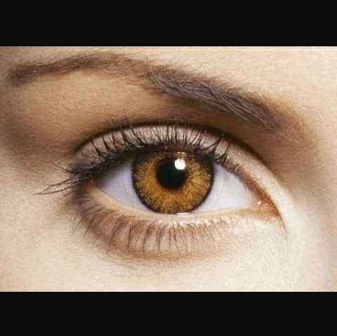 Ojos - 4