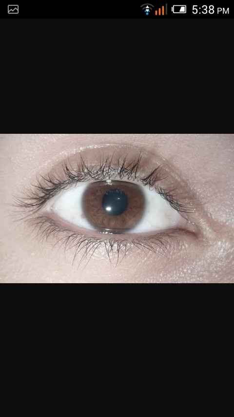 Ojos - 5