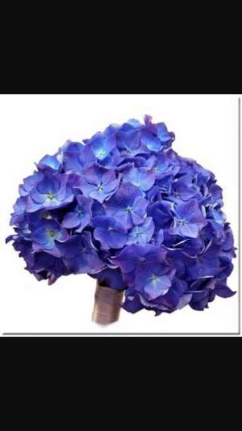 Azul. tu ramo de novia - 8