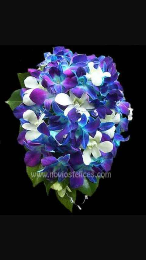 Azul ramos (2) - 5