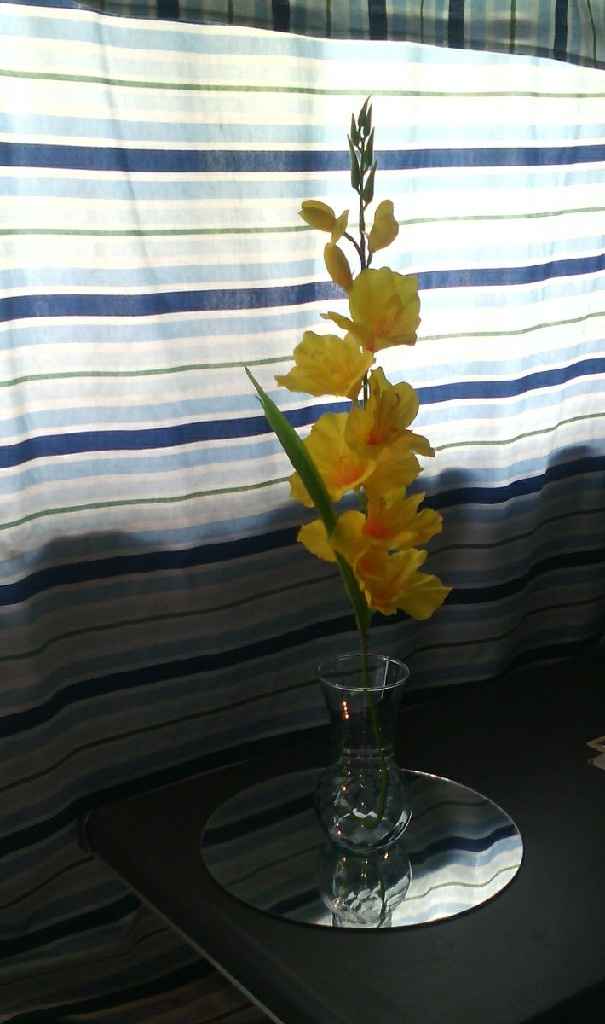Mis centros d mesa - 3