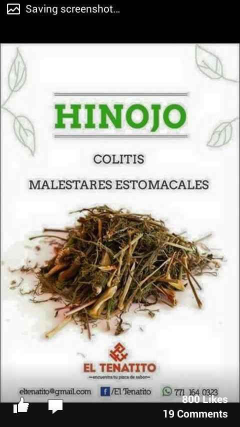 La organizació. de tu boda te esta enfermando? q tal un rico té - 6