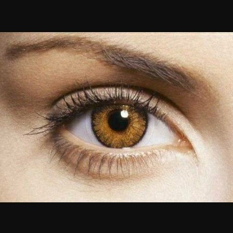 Ojos - 4