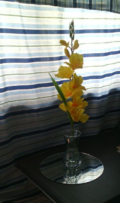 Mis centros d mesa - 3