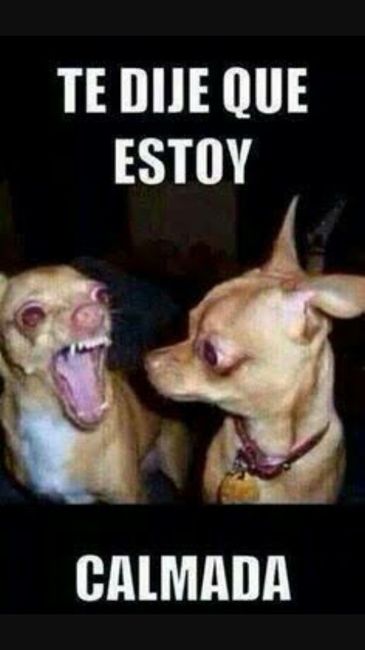 Un poco de humor :p - 2