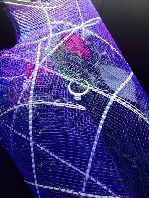 Presumamos nuestros anillos!! - 1