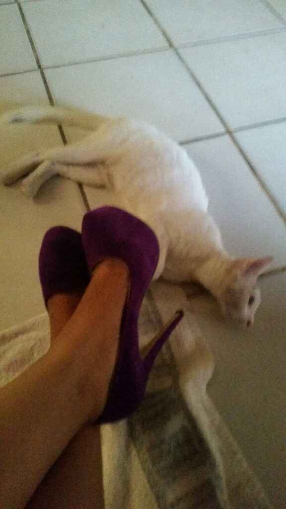 Mis zapatillas moradas :d las  amo! - 3