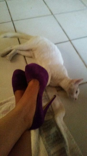 Mis zapatillas moradas :d las  amo! - 3