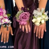 Damas de honor