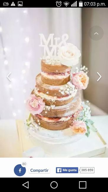 Novios que nos casamos el 11 de Marzo de 2017 en Nuevo León - 1