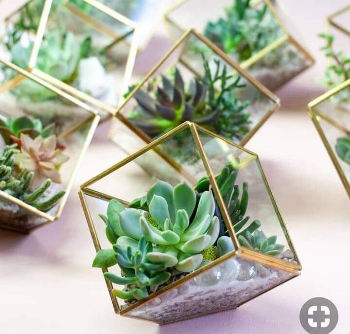 Invitaciones Digitales - 1