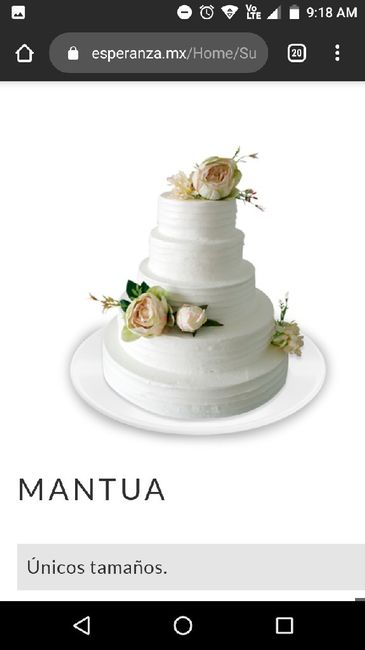 "Simón dice: muéstrenme su Pastel de Bodas" - 1