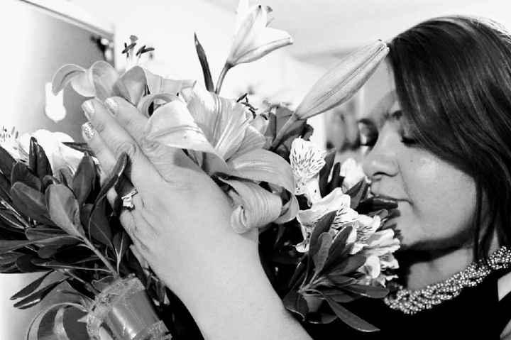 Fotos favoritas de la propuesta💍 - 2