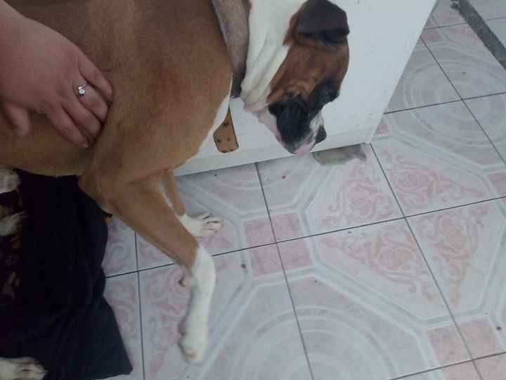 Mi anillo en la facultad🤭 - 1