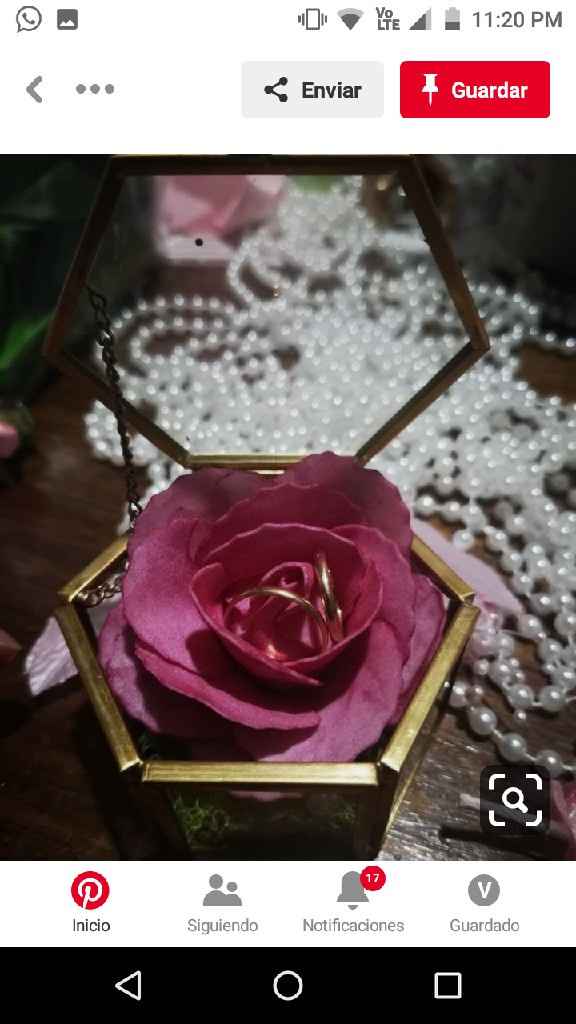 Ideas Porta Alianzas - 25