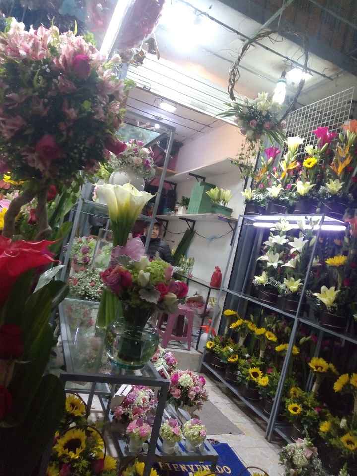 Decoración para la pista de baile 🌿 - 1