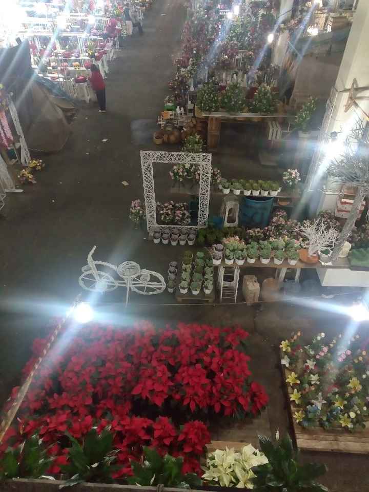 Decoración para la pista de baile 🌿 - 2