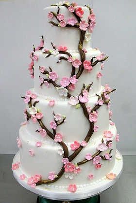 Cherry Blossom Cake