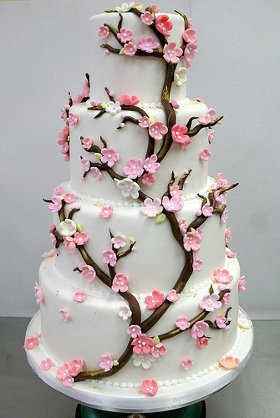 Cherry Blossom Cake