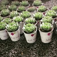 ¿Cuál es el mejor regalo para los invitados de tu boda? - 1