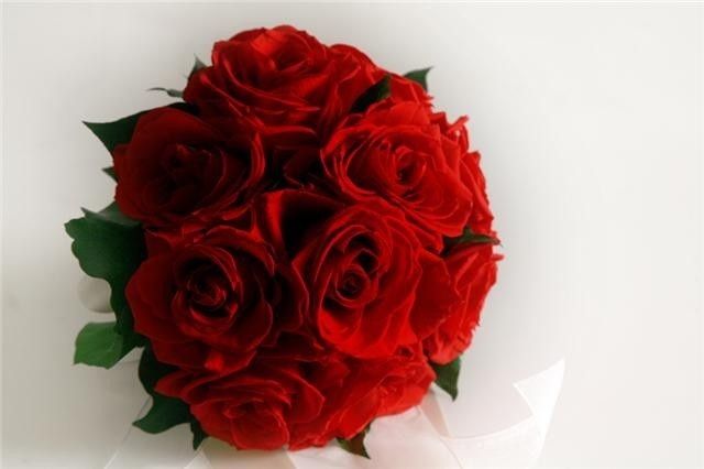 Ramo en rojo