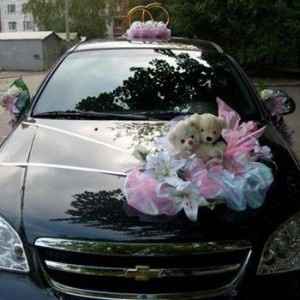 Adorno para auto tiernosito