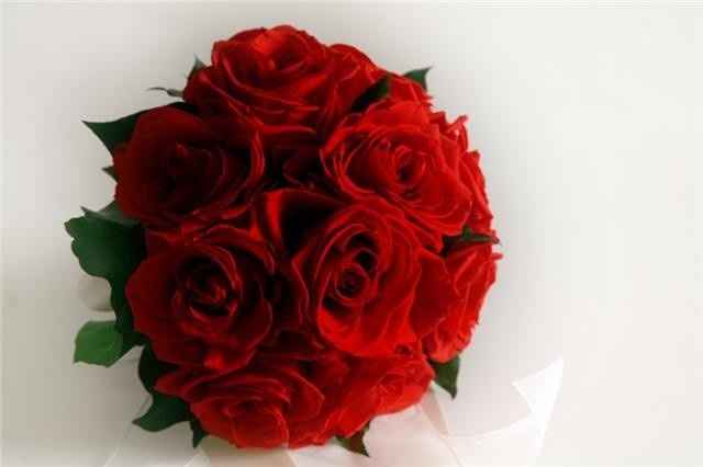 Ramo en rojo