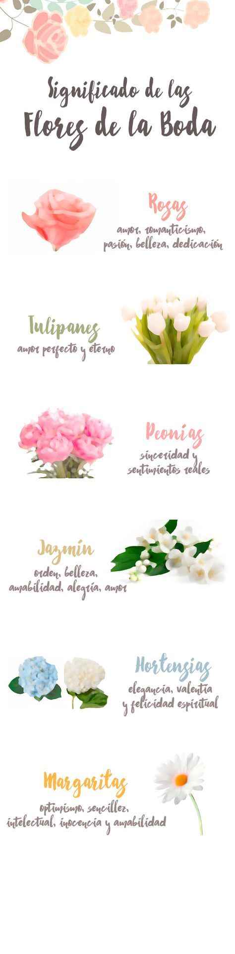 Significado flor ✿
