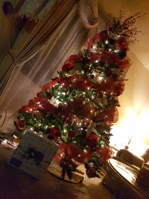 Mi regalito de navidad (creo que solo recibiré cosas de la boda)