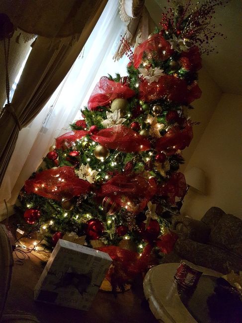 Amo mi arbolito! jajaj