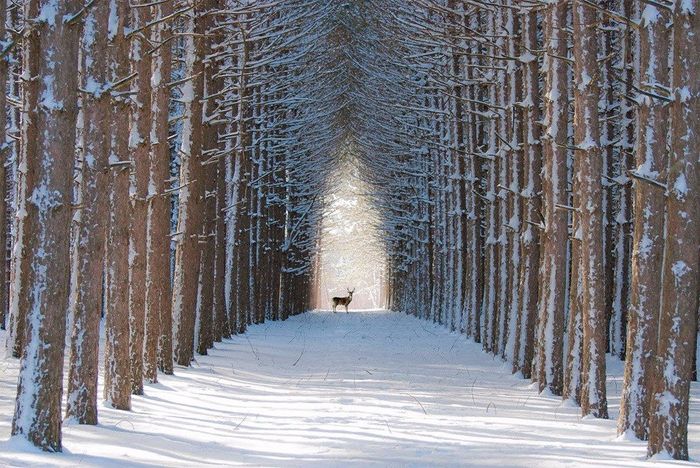 Quebec 3