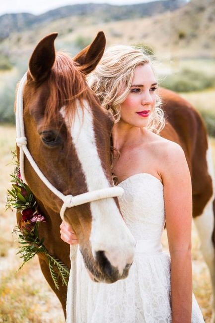 Caballos en la boda