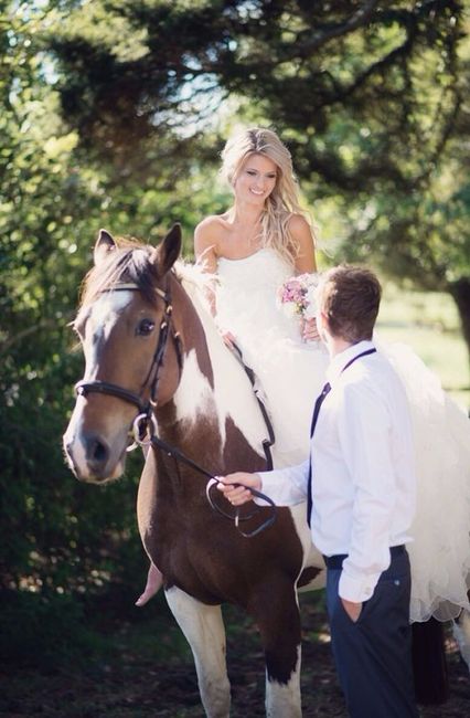 Caballos en la boda