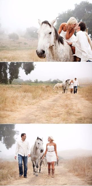 Caballos en la boda
