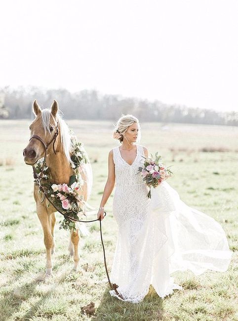 Caballos en la boda