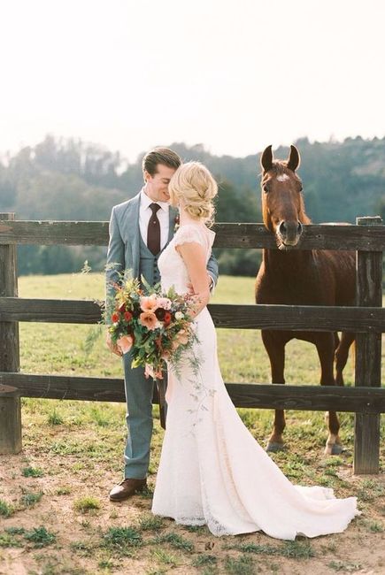 Caballos en la boda