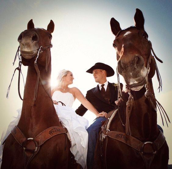 Caballos en la boda