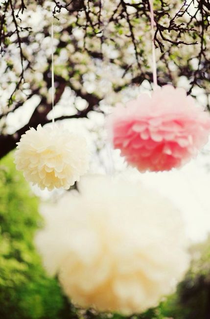 Pompoms
