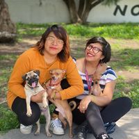 Nuestro libro de firmas Susi y Jan - 1